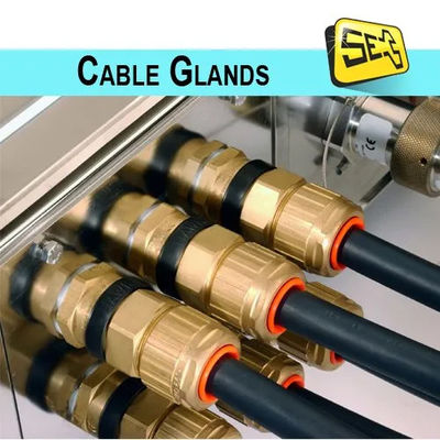 M14X1.5 (((4-8) ক্যাবলের জন্য নিকেলযুক্ত ব্রাস গ্র্যান্ডস সংযোগকারী IP68 জলরোধী ক্যাবল গ্র্যান্ডস